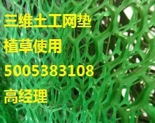 揭阳绿色三维土工网垫选购全攻略 价格、品牌与厂家大搜索